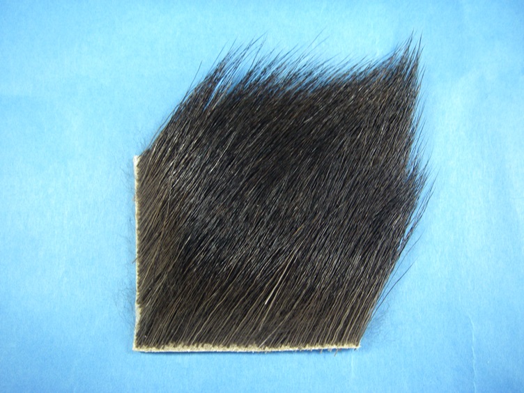 Moose Body Hair - Small Piece - Click Image to Close